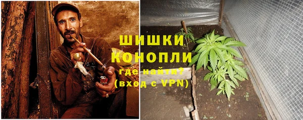 apvp Белокуриха