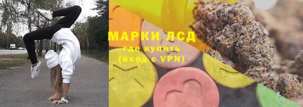 apvp Белокуриха
